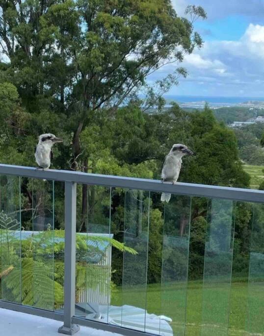 Ocean View Oasis, Coffs Harbour Lägenhet Exteriör bild