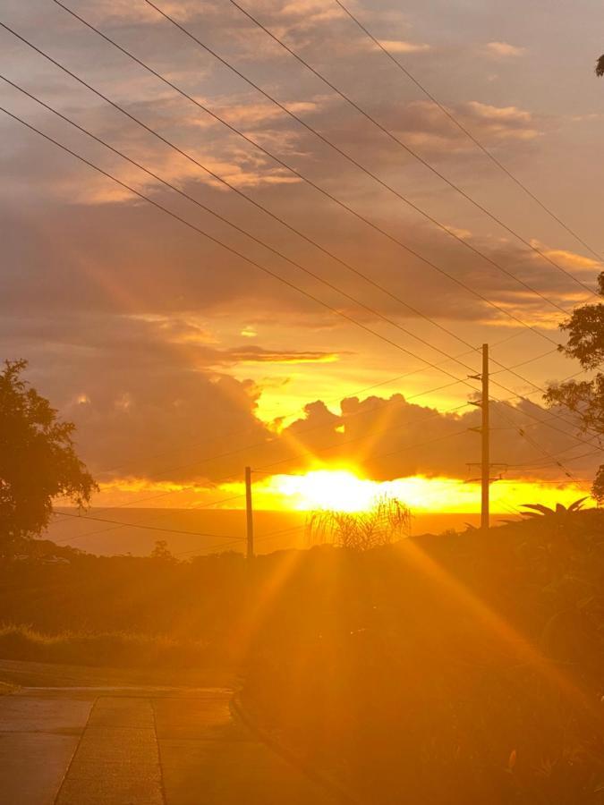 Ocean View Oasis, Coffs Harbour Lägenhet Exteriör bild